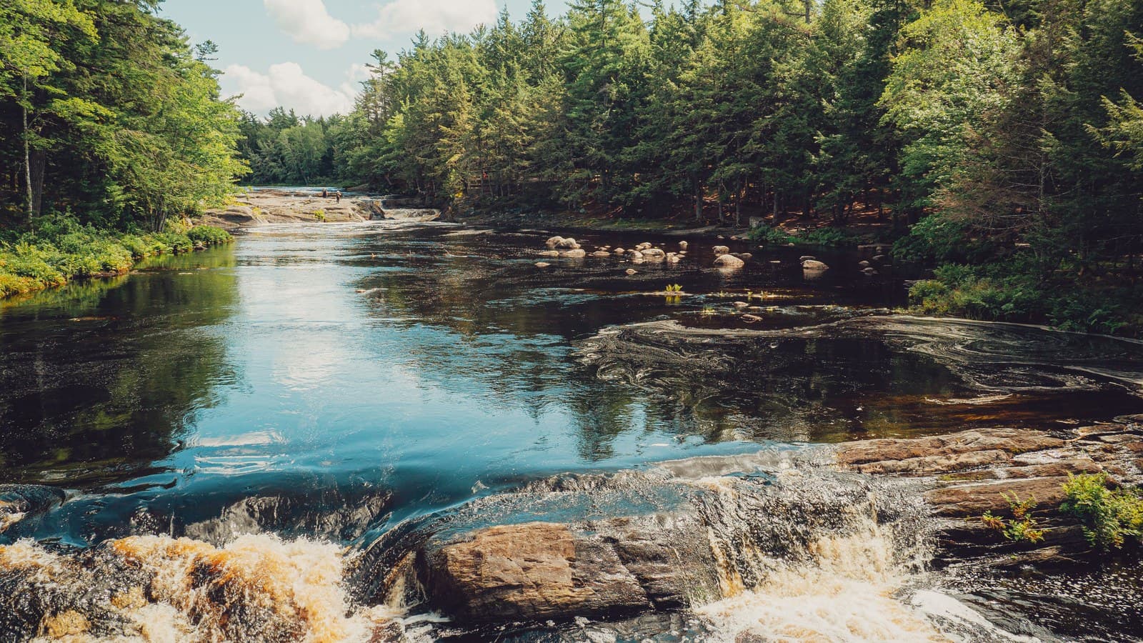 A river running over broad granite ledges into rapids, pine forest along both banks under a bright sky.